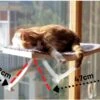 Hobipets - Kattenmand Raam - 5 Zuignappen - Hangmat Kat Raam -Winkel Voor Kattenbenodigdheden 1200x856 3