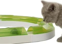 Catit Senses 2.0 Super Circuit - Kattenspeelgoed - Wit/Groen 9 Catit Senses 2.0 Super Circuit - Kattenspeelgoed - Wit/Groen -Winkel Voor Kattenbenodigdheden 1200x858 8