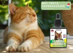 Natuurlijke Vlooiendruppels Voor Katten - Vanaf 4 Kg - 100% Natuurlijk - Vlooien - Zonder Giftige Pesticiden - 30 Ml - Speciale Formule Voor Katten - Vachtdruppels - Made In Holland -Winkel Voor Kattenbenodigdheden 1200x872 2