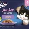 Felix Elke Dag Feest Mix Selectie In Gelei Junior - Katten Droogvoer - 48 X 85g -Winkel Voor Kattenbenodigdheden 1200x883 2