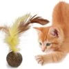Merkloos EPIN | Kattenkruid Balletje Met Veer | Leuk & Lekker Kattenspeelgoed | Speelgoed Voor Katten 1 Merkloos EPIN | Kattenkruid Balletje Met Veer | Leuk & Lekker Kattenspeelgoed | Speelgoed Voor Katten -Winkel Voor Kattenbenodigdheden 1200x884 4