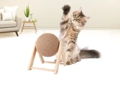 Janse Katten Krab Bal - Katten Speelgoed - Krabmeubel - Kattenkrabpaal - Krabplank - Krabbal - Kattenspeeltje - Krabbol - Inclusief Kattenkruid -Winkel Voor Kattenbenodigdheden 1200x898 6