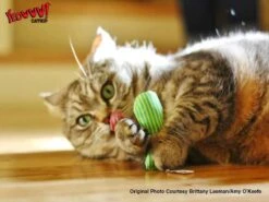 Yeowww! Stinkies Sardientje - Rood Met Sterren - 7.5 Cm - Catnip Kattenkruid ( Kattenspeeltjes ) -Winkel Voor Kattenbenodigdheden 1200x899 3