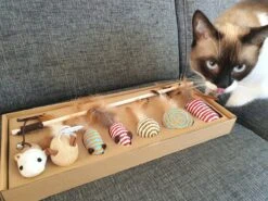 Make Life Beautiful® - Kattenspeeltjes Set - 7-delig - Kattenspeelgoed - Kattenhengel - Speelmuisjes - Kattenspeelgoed Set -Winkel Voor Kattenbenodigdheden 1200x900 15