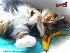 Yeowww! Chicata Banana - Speeltje Voor Katten Met Kattenkruid - De Meest Krachtige Catnip Ter Wereld – Onweerstaanbaar – Katoen – 17.7 Cm - Geel 12 Yeowww! Chicata Banana - Speeltje Voor Katten Met Kattenkruid - De Meest Krachtige Catnip Ter Wereld – Onweerstaanbaar – Katoen – 17.7 Cm - Geel -Winkel Voor Kattenbenodigdheden 1200x904 1