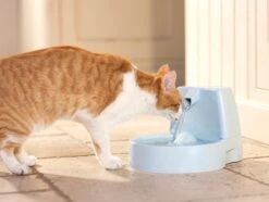 Petsafe Drinkwell Platinum - Drinkfontein - 5 L -Winkel Voor Kattenbenodigdheden 1200x905 2