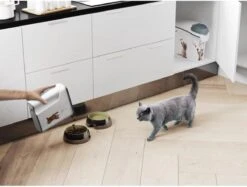 Curver Voercontainer Kat - 6 L -Winkel Voor Kattenbenodigdheden 1200x910 3