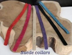 Beeztees Kattenbandje Suede - Zwart -Winkel Voor Kattenbenodigdheden 1200x918