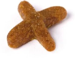 Prins VitalCare Indoor 5 Kg - Kat -Winkel Voor Kattenbenodigdheden 1200x922 1