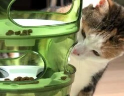 Cat-It Senses 2.0 Food Tree - Wit/Groen - Voerbak - Ø 35 Cm -Winkel Voor Kattenbenodigdheden 1200x923