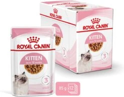 Royal Canin Wet Kitten (12X85 GR) -Winkel Voor Kattenbenodigdheden 1200x938