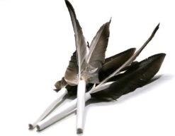 Tabby Tijger Happy After - Kattenspeelgoed - Beloningsspeeltje - Veren