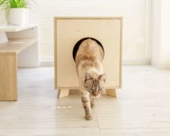 Catandwood Kattenhuis - Kattenbakcontainer - Kattenbak Ombouw - Hout -Winkel Voor Kattenbenodigdheden 1200x959 1
