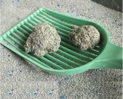 Pet-Earth Golden Odour - Kattenbakvulling - Perfecte Klontvorming - 2 X 14 Kg -Winkel Voor Kattenbenodigdheden 1200x968