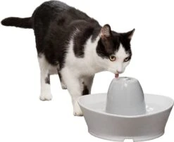 PetSafe® Streamside Ceramic Pet Fountain - Keramische Drinkfontein Voor Katten En Kleine Honden - Water Borrelt Zacht Over De Toren - Door Het Design Van Alle Kanten Bereikbaar - 1,8 Liter - PetSafe Streamside -Winkel Voor Kattenbenodigdheden 1200x983
