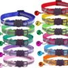 Petsify - Kattenhalsband Met Belletje - Veiligheidssluiting - Reflecterend - Halsband Kat - Halsband Kitten - Set Van 11 -Winkel Voor Kattenbenodigdheden 1200x986 1