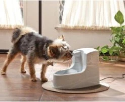Petsafe Drinkwell Platinum - Drinkfontein - 5 L -Winkel Voor Kattenbenodigdheden 1200x986