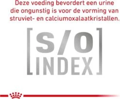 Royal Canin Anallergenic Kattenvoer 4 Kg 15 Royal Canin Anallergenic Kattenvoer 4 Kg -Winkel Voor Kattenbenodigdheden 1200x990 1