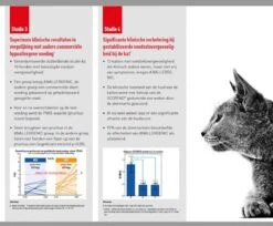 Royal Canin Anallergenic Kattenvoer 4 Kg 13 Royal Canin Anallergenic Kattenvoer 4 Kg -Winkel Voor Kattenbenodigdheden 1200x993