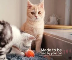 Cheerble Mini Ball 2.0 - Slimme Interactieve Zelf Rollende Bal Voor Katten - 3 Speelmodi - Kattenspeeltjes - USB Oplaadbaar - Rood -Winkel Voor Kattenbenodigdheden 1200x994 1