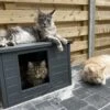 RHRQuality Kattenhuis Voor Binnen En Buiten Kattenhok Villa De Luxe Grijs -Winkel Voor Kattenbenodigdheden 1200x996 1