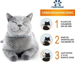 Vlooienband Kat - Vlooien Teken - Anti Tekenmiddel - Anti Teken - Diervriendelijk 9 Vlooienband Kat - Vlooien Teken - Anti Tekenmiddel - Anti Teken - Diervriendelijk -Winkel Voor Kattenbenodigdheden 1200x996