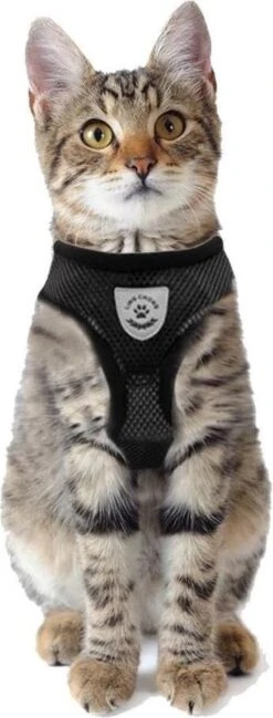 Merkloos Kattentuigje Met Looplijn | Zwart Kattenharnas | Easy Step In | Kattenriem | Kattenlijn | Kattentuig | Maat S -Winkel Voor Kattenbenodigdheden 457x1200