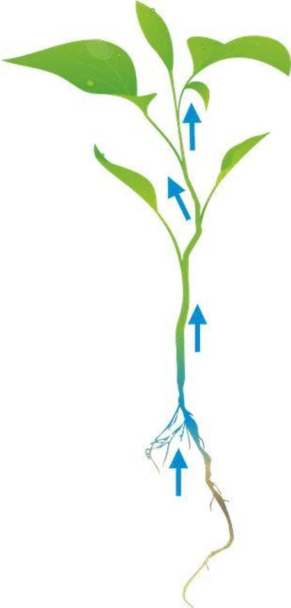 Cat's Best Oko Plus Korrels - Kattenbakvulling - 40 L 7 Cat's Best Oko Plus Korrels - Kattenbakvulling - 40 L - Afbeelding 5