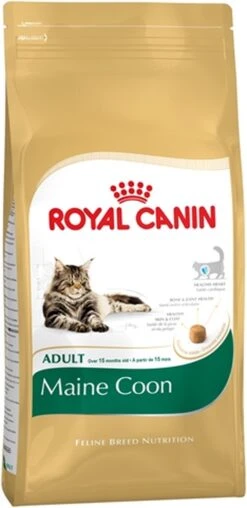 Royal Canin Maine Coon Adult - Kattenvoer - 10 Kg 25 Royal Canin Maine Coon Adult - Kattenvoer - 10 Kg -Winkel Voor Kattenbenodigdheden 583x1200 2
