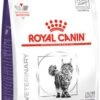 Royal Canin Dental Kat 6 Kg (2 X 3kg) -Winkel Voor Kattenbenodigdheden 593x1200