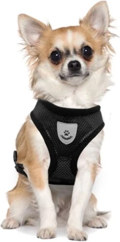 Ease Store Kattentuigje – Maat S – Met Looplijn – Kittentuigje – Dierentuigje – Hondentuigje – Reflecterend – Zwart -Winkel Voor Kattenbenodigdheden 597x1200 2