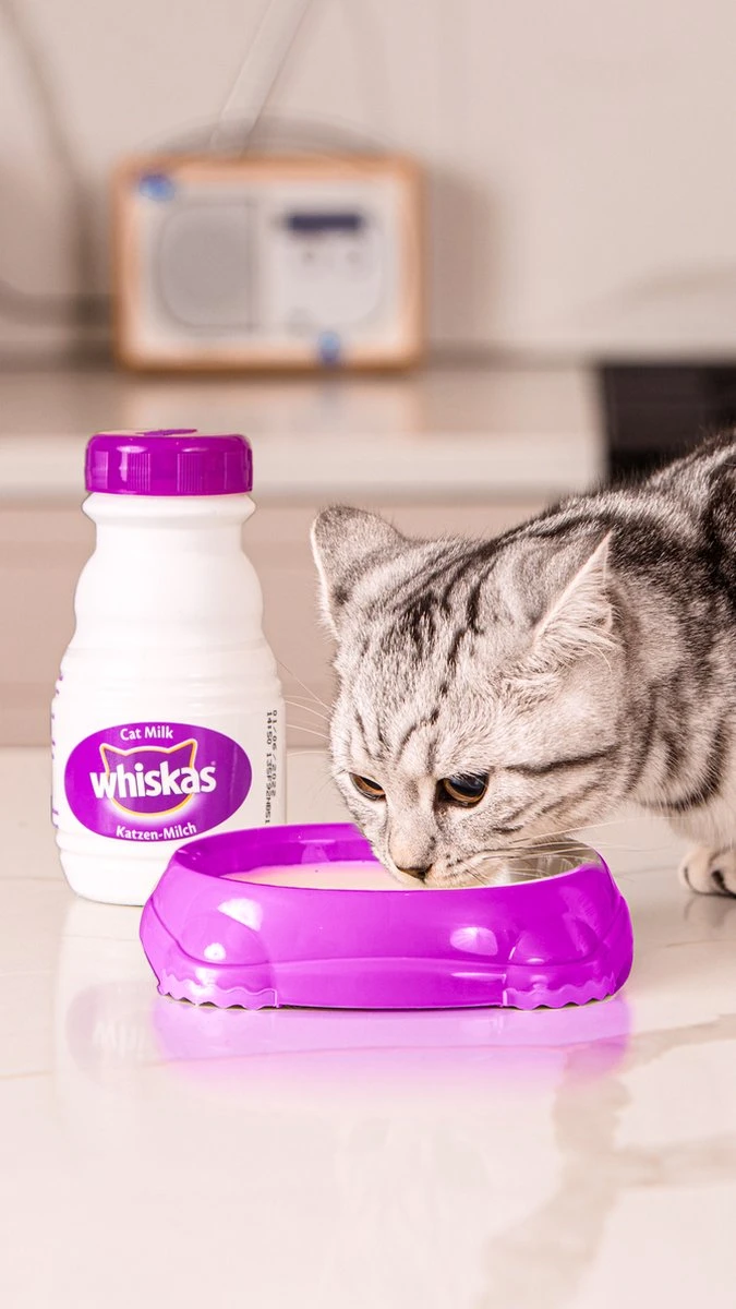 Whiskas Katten Melk - 15 Flesjes X 200 Ml 5 Whiskas Katten Melk - 15 Flesjes X 200 Ml - Afbeelding 3