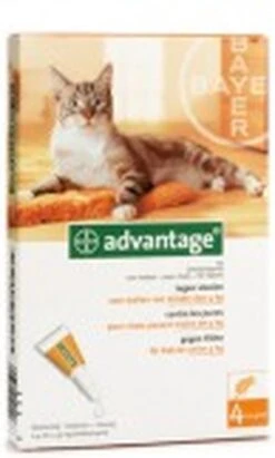 Bayer Advantage 40 Tegen Vlooien - <4kg - 4 X 0,4 Ml - Adult 41 Bayer Advantage 40 Tegen Vlooien - <4kg - 4 X 0,4 Ml - Adult -Winkel Voor Kattenbenodigdheden 722x1200