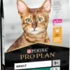Pro Plan Adult Renal Plus - Katten Droogvoer - Kip - 10 Kg -Winkel Voor Kattenbenodigdheden 725x1200