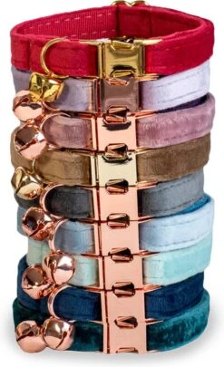 ACE Pets Kattenhalsband Met Belletje – Halsband Kat & Kitten - Kittenhalsband & Kattenbandje - Kattenbelletje - Pluche Velvet - Groen 11 ACE Pets Kattenhalsband Met Belletje – Halsband Kat & Kitten - Kittenhalsband & Kattenbandje - Kattenbelletje - Pluche Velvet - Groen -Winkel Voor Kattenbenodigdheden 731x1200 1