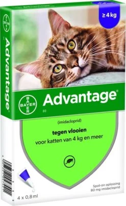 Bayer Anti Vlooienmiddel Advantage 80 > 4 Kg - 4 X 0,8 Ml -Winkel Voor Kattenbenodigdheden 734x1200 2