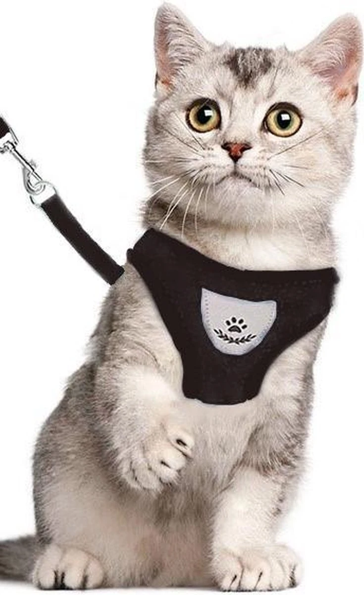 Merkloos Kattentuigje - Kattenharnas - Kattentuig Met Looplijn - Hondentuigje - Hondenharnas - Zwart - Maat L 3 Merkloos Kattentuigje - Kattenharnas - Kattentuig Met Looplijn - Hondentuigje - Hondenharnas - Zwart - Maat L