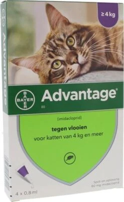 Bayer Anti Vlooienmiddel Advantage 80 > 4 Kg - 4 X 0,8 Ml -Winkel Voor Kattenbenodigdheden 739x1200