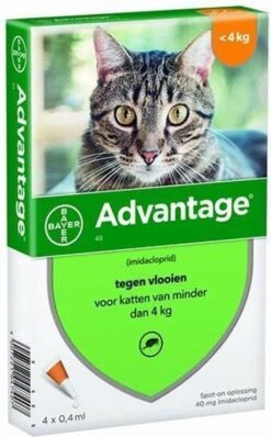 Bayer Anti Vlooienmiddel Advantage 80 > 4 Kg - 4 X 0,8 Ml -Winkel Voor Kattenbenodigdheden 744x1200