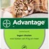 Advantage Kat 80 - 4 Pipet 1 Advantage Kat 80 - 4 Pipet -Winkel Voor Kattenbenodigdheden 771x1200 1