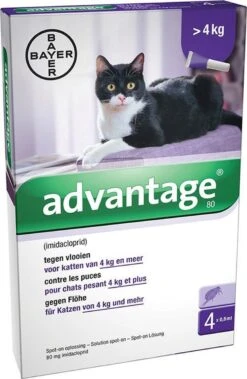 Bayer Anti Vlooienmiddel Advantage 80 > 4 Kg - 4 X 0,8 Ml -Winkel Voor Kattenbenodigdheden 783x1200 1