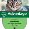 Bayer Advantage 40 Tegen Vlooien - <4kg - 4 X 0,4 Ml - Adult -Winkel Voor Kattenbenodigdheden 786x1200