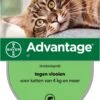 Bayer Anti Vlooienmiddel Advantage 80 > 4 Kg - 4 X 0,8 Ml -Winkel Voor Kattenbenodigdheden 788x1200
