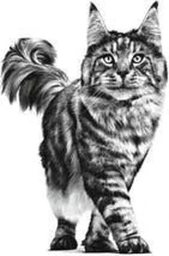 Royal Canin Sensitivity Control - Kip - Kattenvoer - 12 X 85 G -Winkel Voor Kattenbenodigdheden 790x1200 1