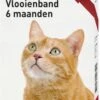 Beaphar Vlooienband Kat - Rood - 1 Stuk 1 Beaphar Vlooienband Kat - Rood - 1 Stuk -Winkel Voor Kattenbenodigdheden 790x1200