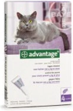 Bayer Anti Vlooienmiddel Advantage 80 > 4 Kg - 4 X 0,8 Ml -Winkel Voor Kattenbenodigdheden 792x1200