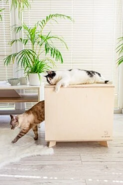Catandwood Kattenhuis - Kattenbakcontainer - Kattenbak Ombouw - Hout -Winkel Voor Kattenbenodigdheden 799x1200 6