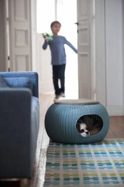 Curver Cozy Pet Home - Kattenmand - Crème - Ø 55 Cm 13 Curver Cozy Pet Home - Kattenmand - Crème - Ø 55 Cm -Winkel Voor Kattenbenodigdheden 800x1200 14