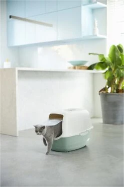 Rotho Bailey - Kattenbak - Groen/Zand 10 Rotho Bailey - Kattenbak - Groen/Zand -Winkel Voor Kattenbenodigdheden 800x1200 19