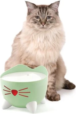 Catit Pixi Fountain - Kattendrinkbak - 20x20x16 Cm Groen -Winkel Voor Kattenbenodigdheden 800x1200 2